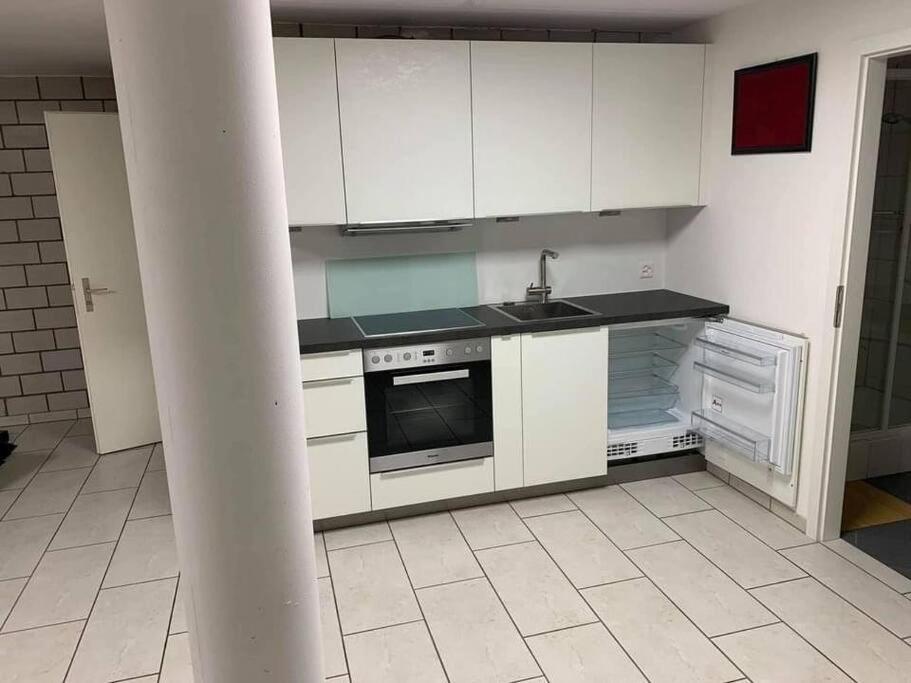 Basel - 5 Mins Away - Modern Basement Studio With Kitchen 35M2 In Muttenz Daire Dış mekan fotoğraf