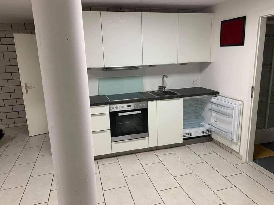 Basel - 5 Mins Away - Modern Basement Studio With Kitchen 35M2 In Muttenz Dış mekan fotoğraf