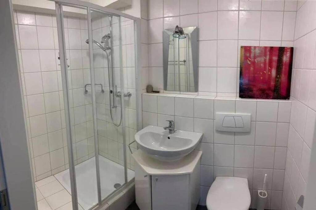 Basel - 5 Mins Away - Modern Basement Studio With Kitchen 35M2 In Muttenz Daire Dış mekan fotoğraf