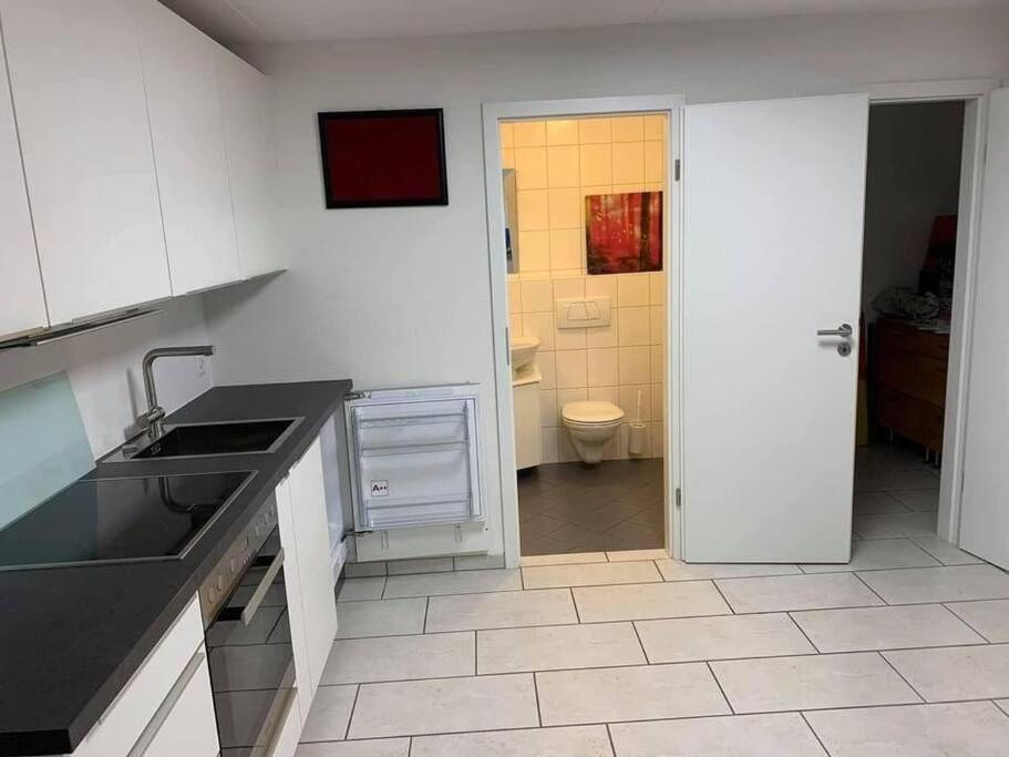 Basel - 5 Mins Away - Modern Basement Studio With Kitchen 35M2 In Muttenz Daire Dış mekan fotoğraf